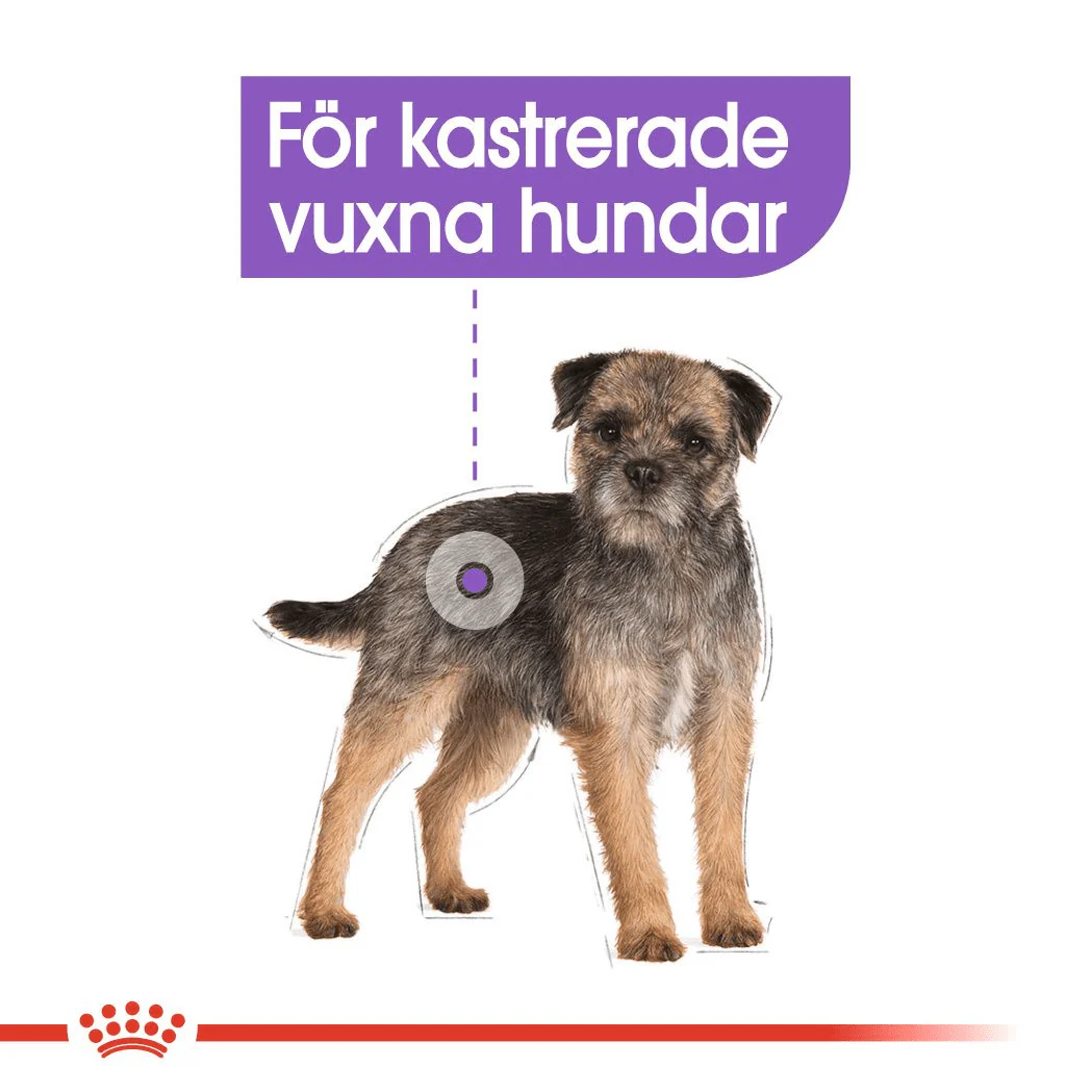 Royal Canin Sterilised Care Loaf - Image 2