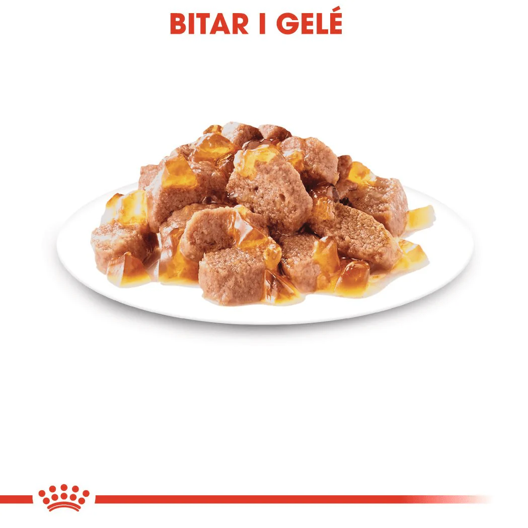 Royal Canin Sterilised Jelly - Image 3