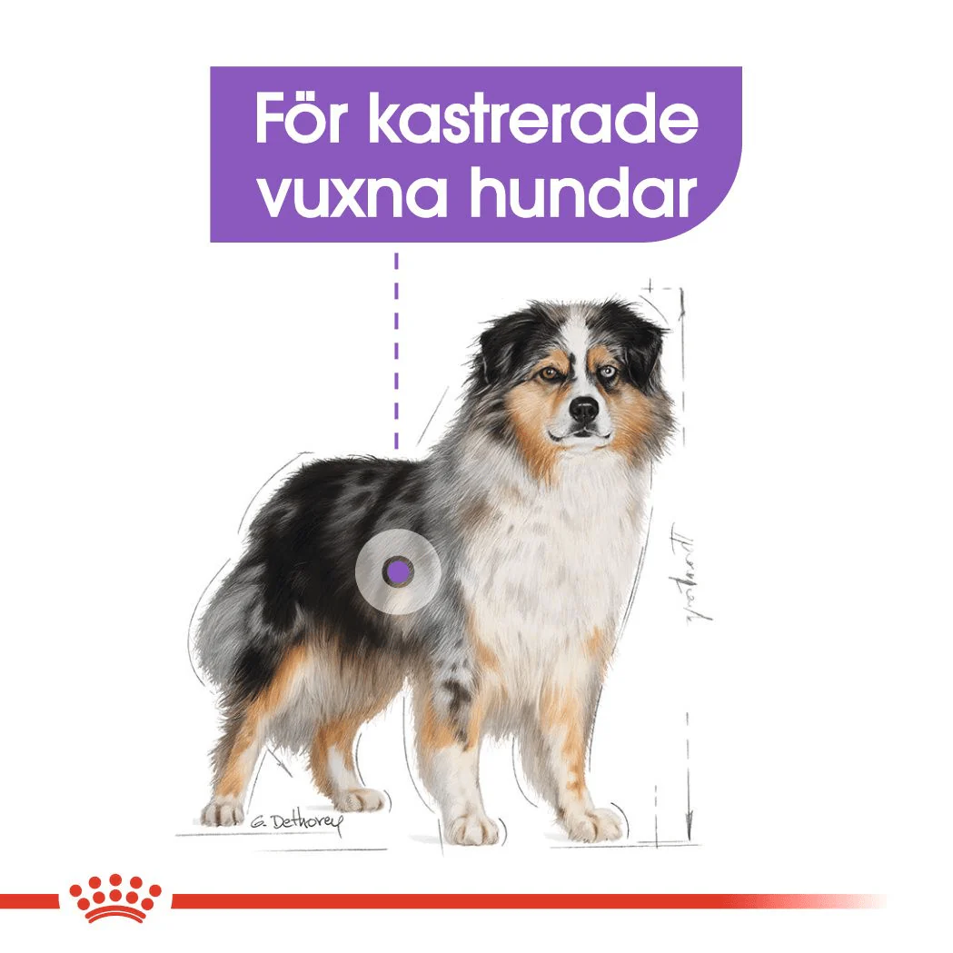 Royal Canin Sterilised Medium - Image 3