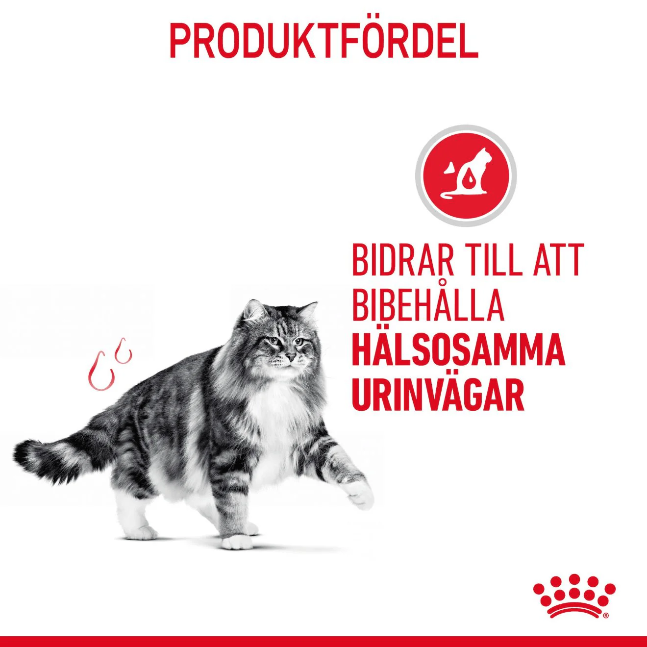 Royal Canin Urinary Care Gravy - Image 2