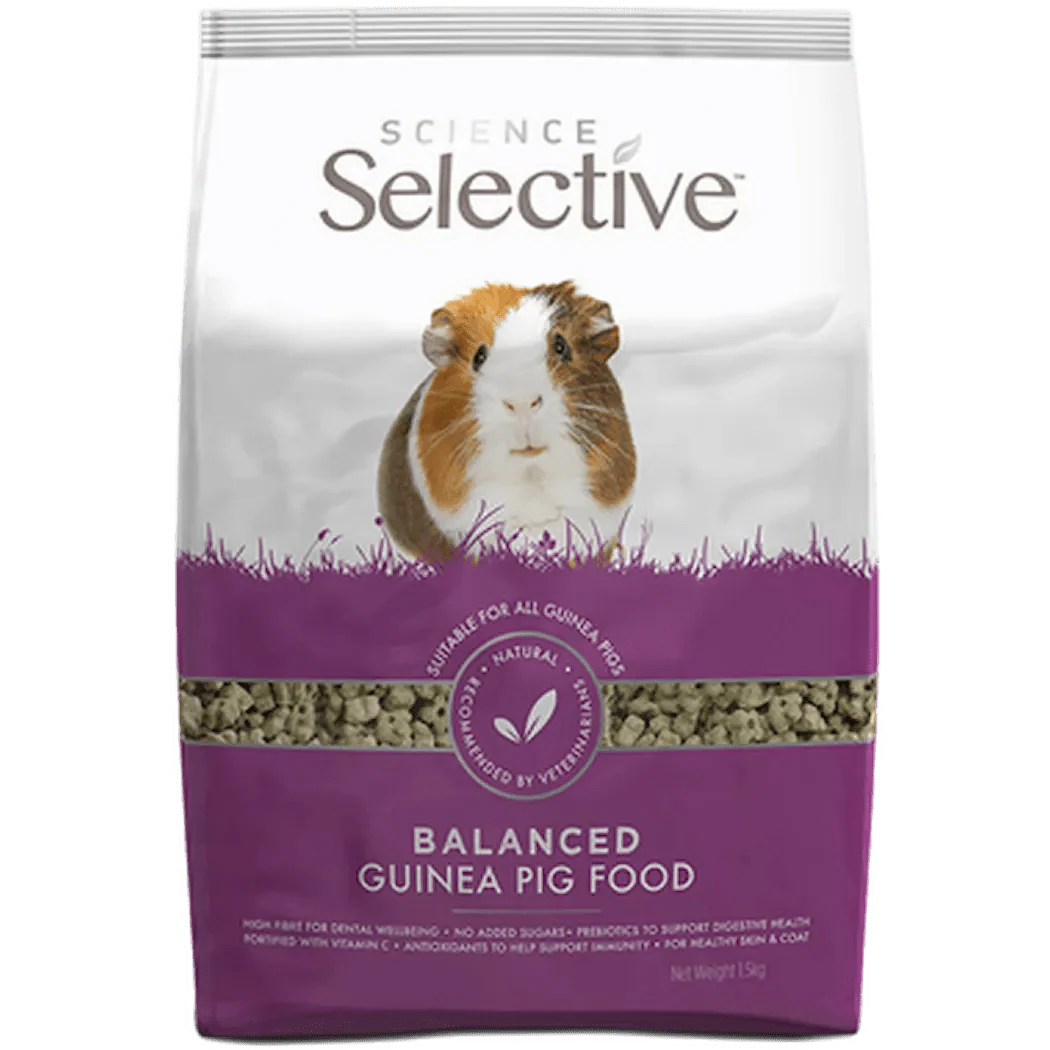 Science Selective Guinea Pig