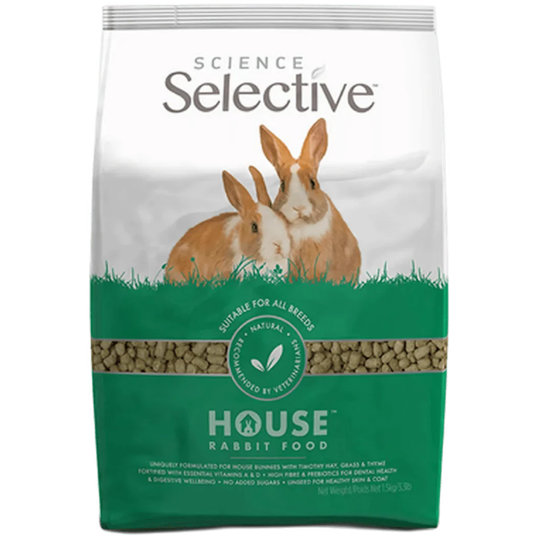 Science Selective House Rabbit