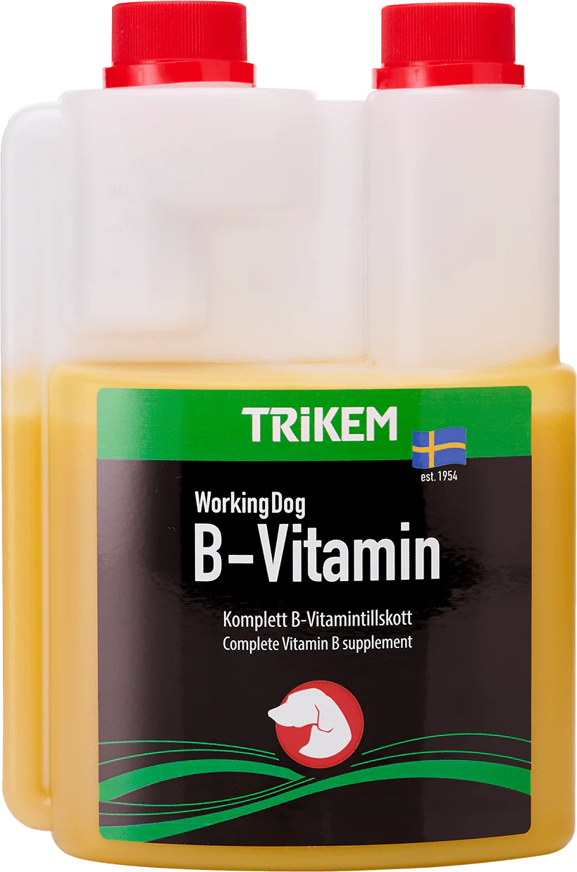 Trikem Max B-Vitamin Hund