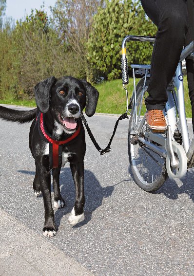 Trixie Biker-set L-form - Image 2