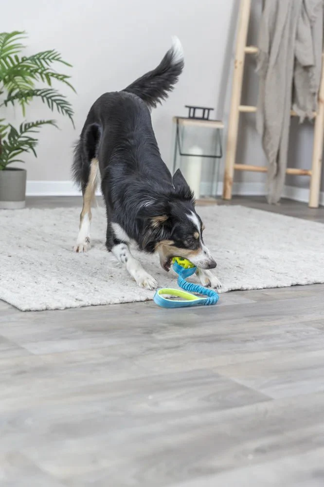 TRIXIE Bungee Tugger med boll, petrol/lime - Image 4