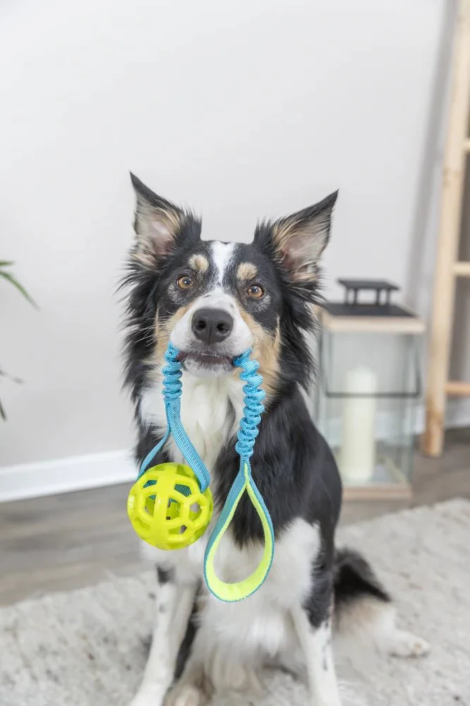 TRIXIE Bungee Tugger med boll, petrol/lime - Image 5