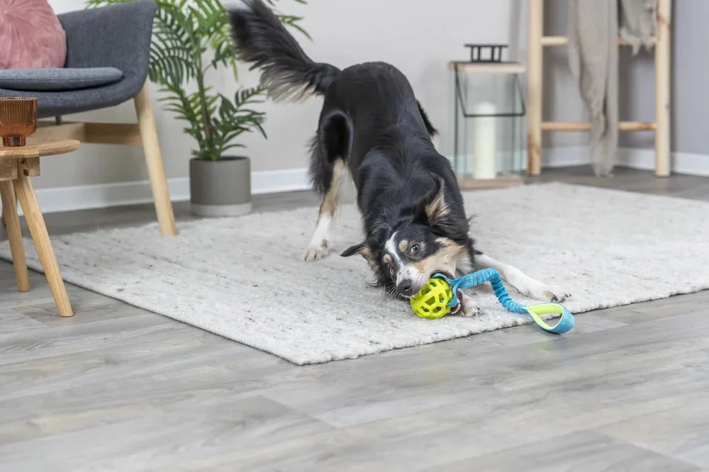 TRIXIE Bungee Tugger med boll, petrol/lime - Image 6