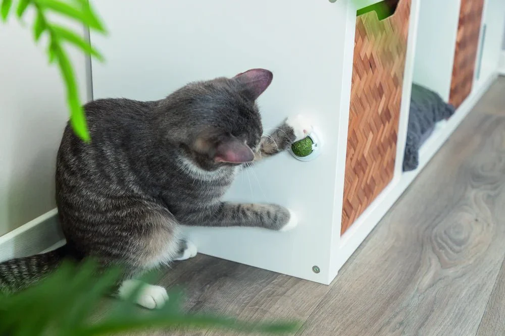 TRIXIE Catnipboll med hållare - Image 10