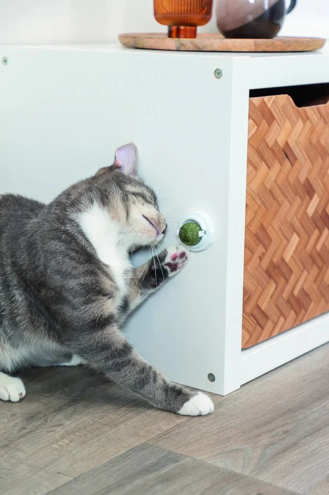 TRIXIE Catnipboll med hållare - Image 2