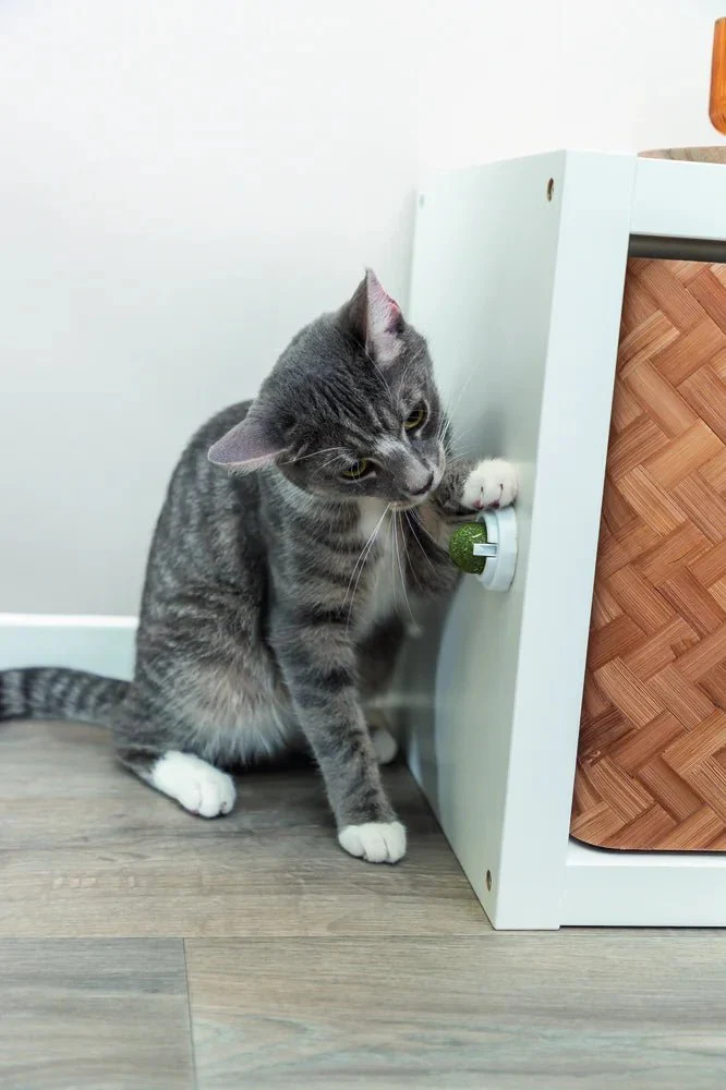 TRIXIE Catnipboll med hållare - Image 9