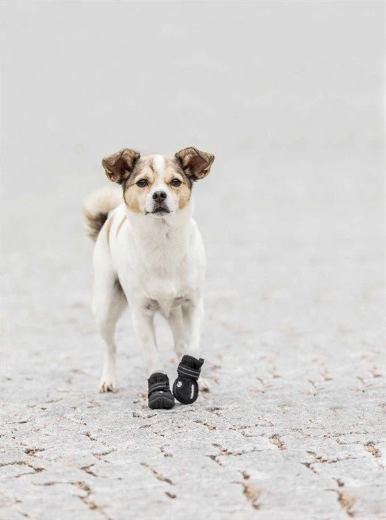 Trixie Hundskor Walker Active 2-pack - Image 6