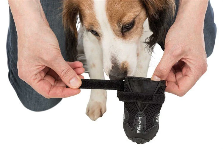 Trixie Hundskor Walker Active 2-pack - Image 7