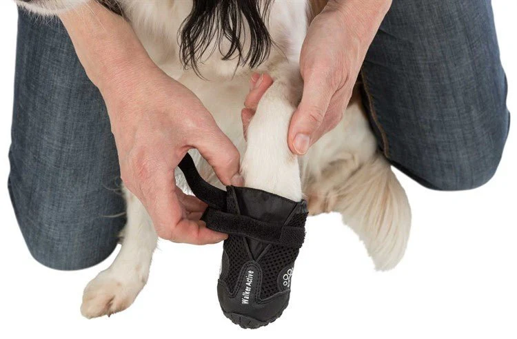 Trixie Hundskor Walker Active 2-pack - Image 8