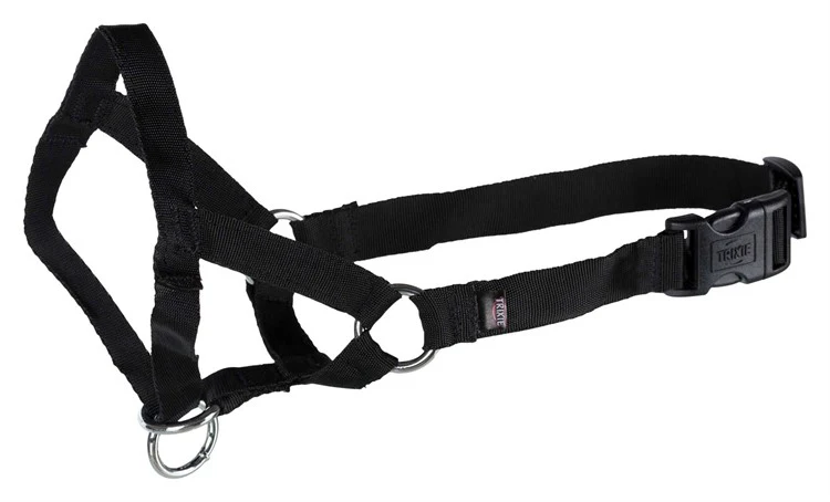 Trixie Nossele Top-trainer