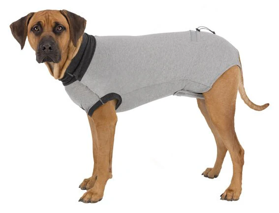 Trixie Skyddande Body för Hund Grå