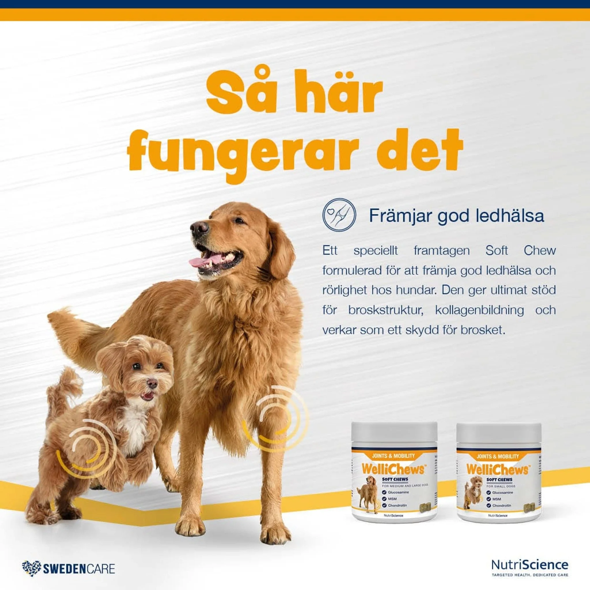 Wellichews Joint Small Dog - Image 3