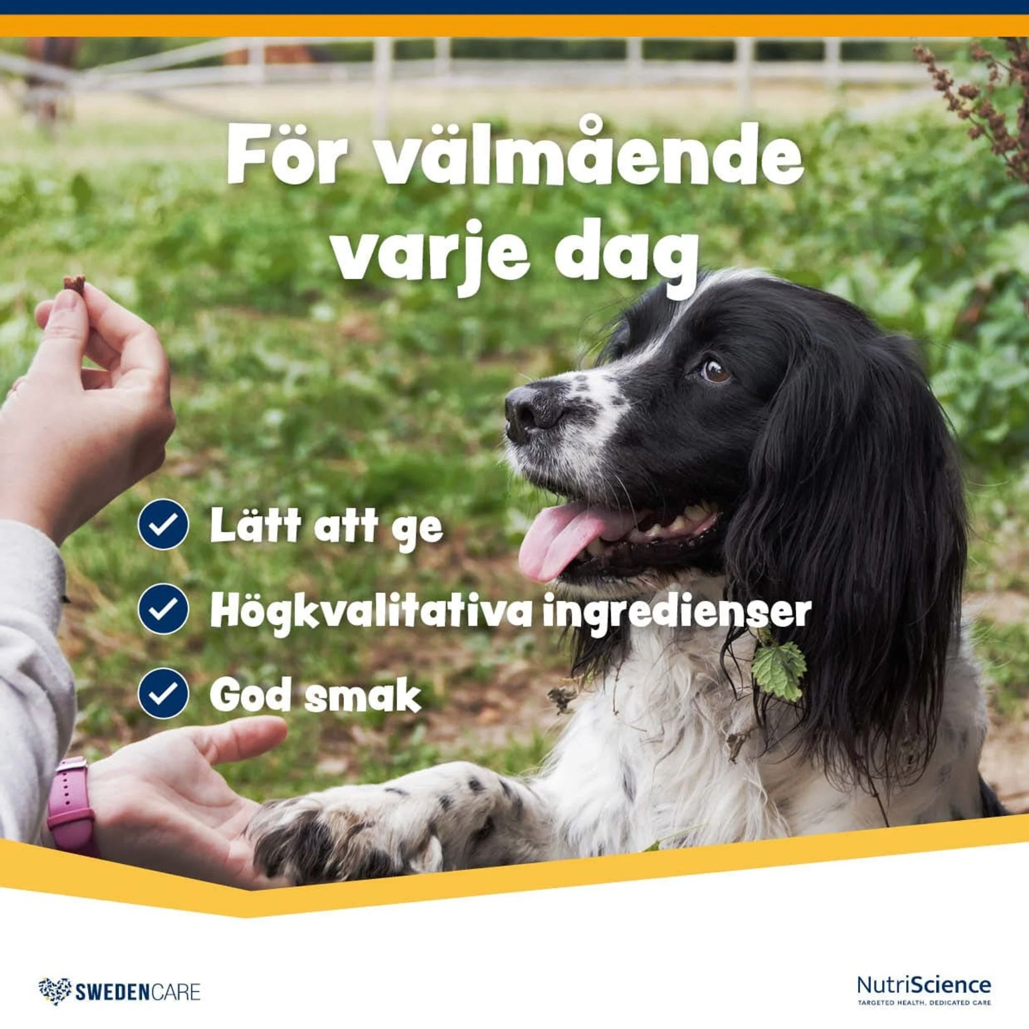 Wellichews Joint Small Dog - Image 4